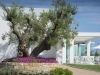 Hotel_Ikos_Olivia (28)