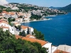 neum_view